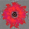 fivesuns_tn